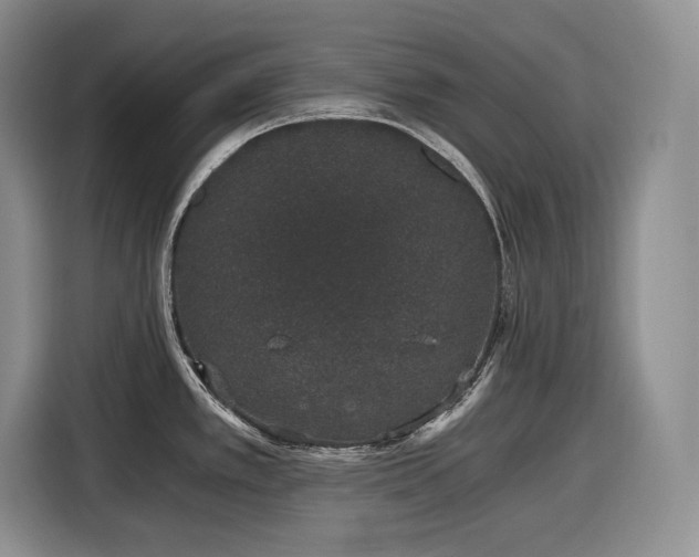 X0000116861389200912221130