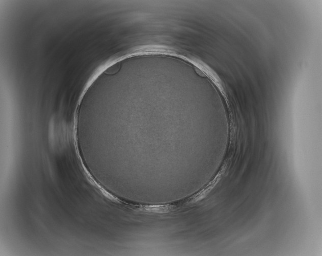 X0000116861390200912221130