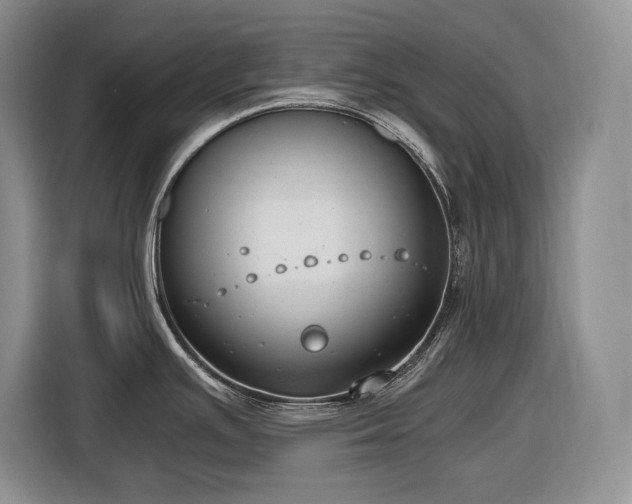 X0000116861391200912221130