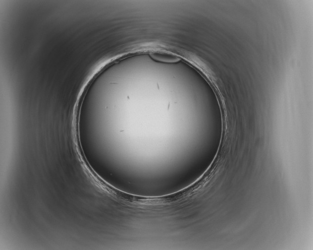 X0000116861392200912221130