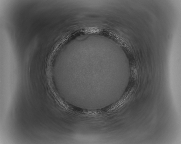 X0000116861393200912221129