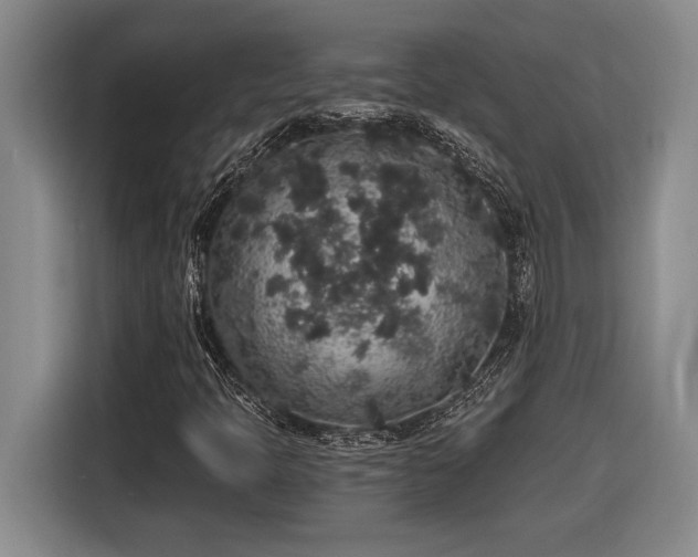 X0000116861397200912221129