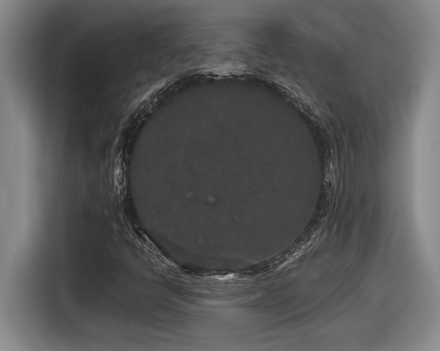X0000116861398200912221129