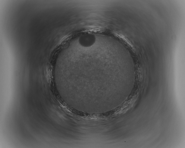 X0000116861399200912221129