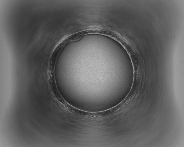 X0000116861400200912221129