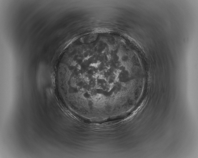 X0000116861401200912221129