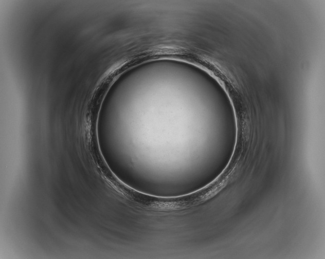 X0000116861402200912221129