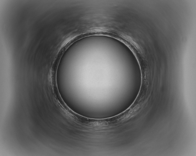 X0000116861404200912221129