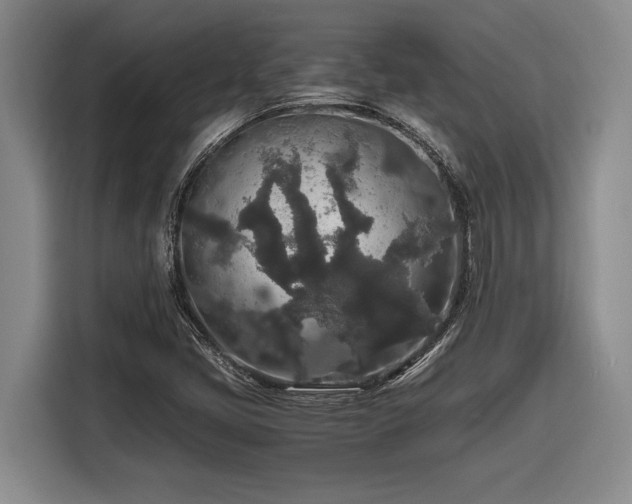 X0000116861405200912221129