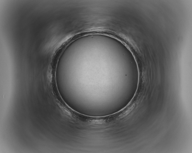 X0000116861406200912221129