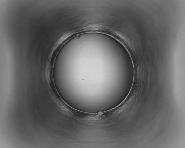 X0000116861410200912221129