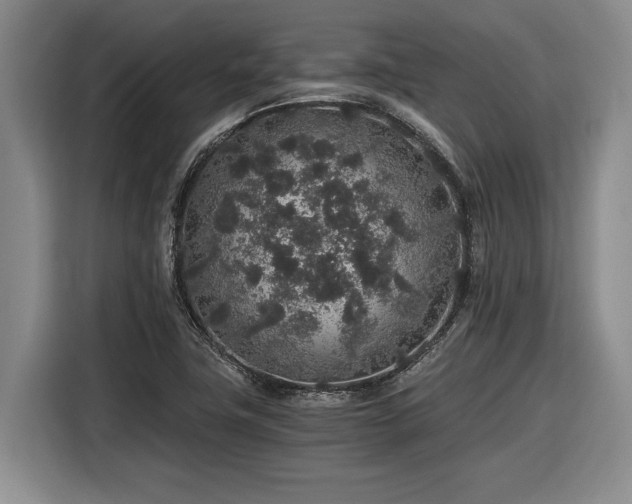 X0000116861411200912221129