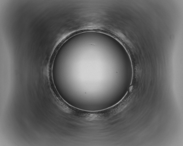 X0000116861412200912221129