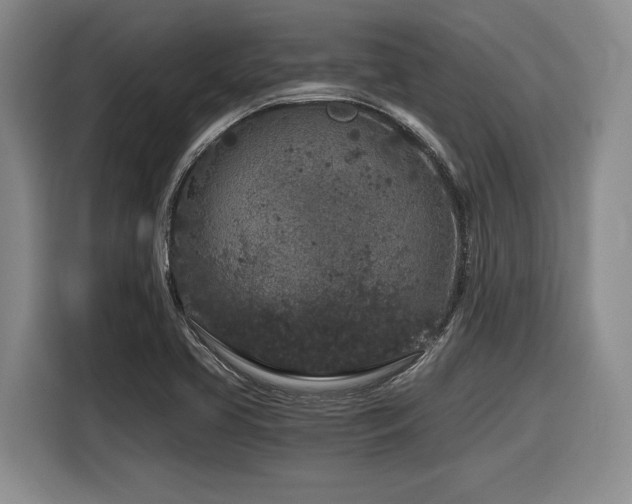 X0000116861413200912221129