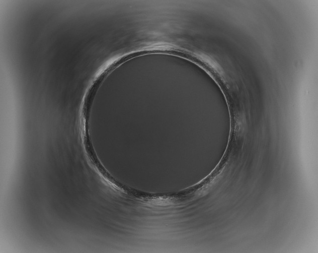 X0000116861414200912221129