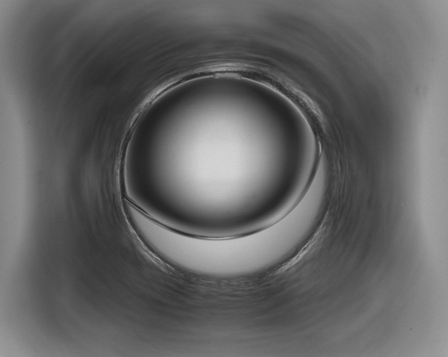 X0000116861417200912221129