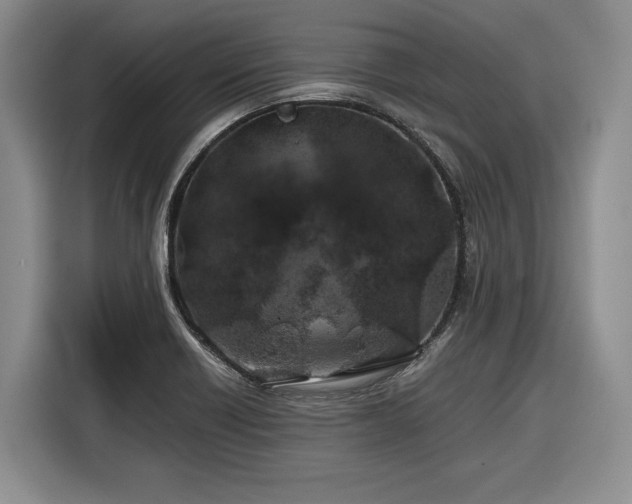 X0000116861418200912221129