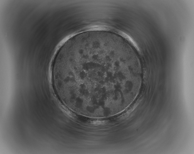 X0000116861419200912221129