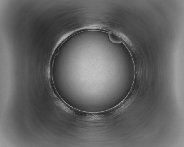 X0000116861420200912221129