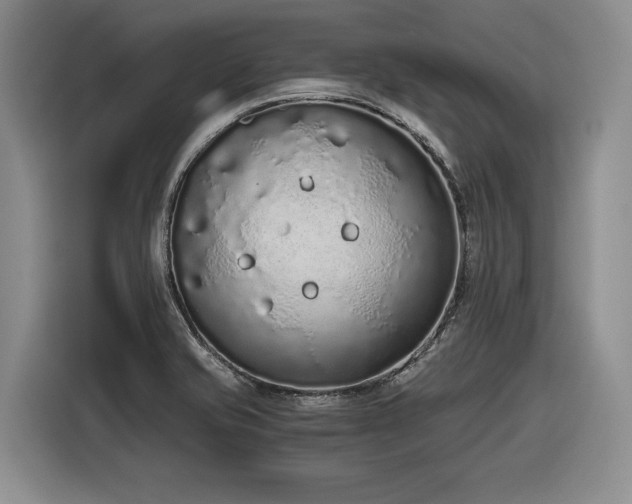 X0000116861421200912221129