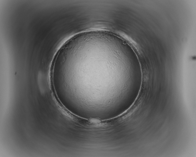 X0000116861423200912221130