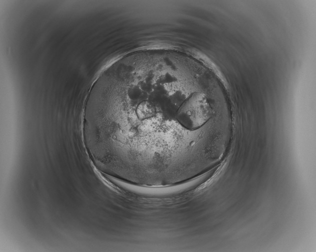 X0000116861425200912221130