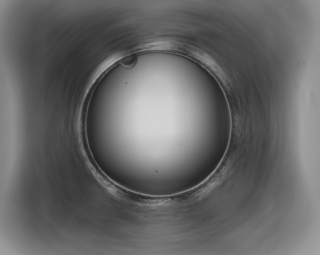 X0000116861426200912221130