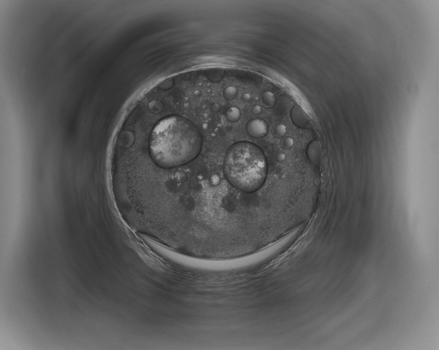 X0000116861427200912221130