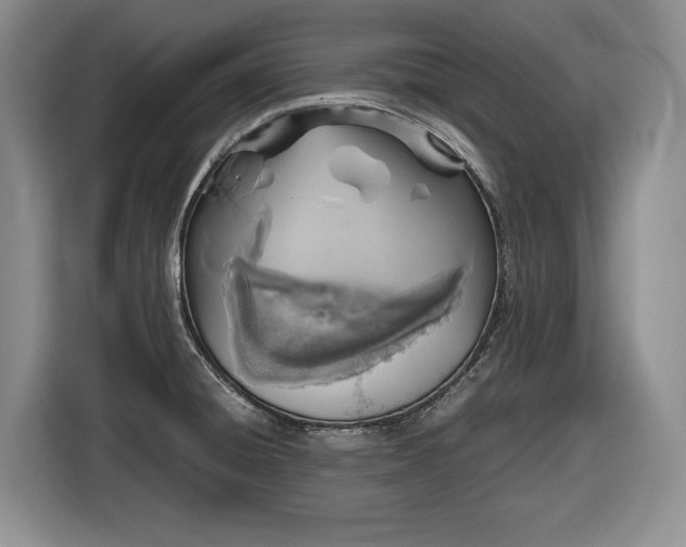 X0000116861428200912221130