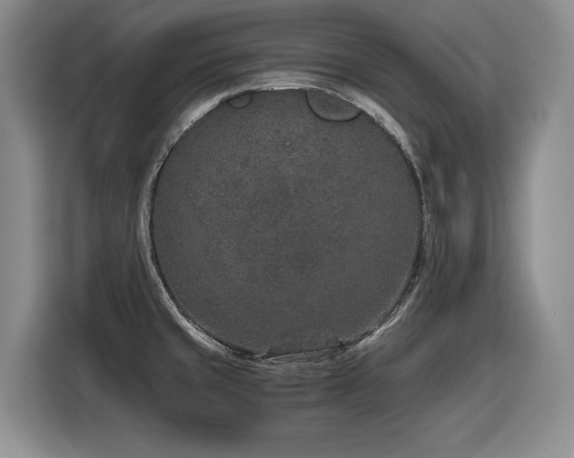 X0000116861429200912221130