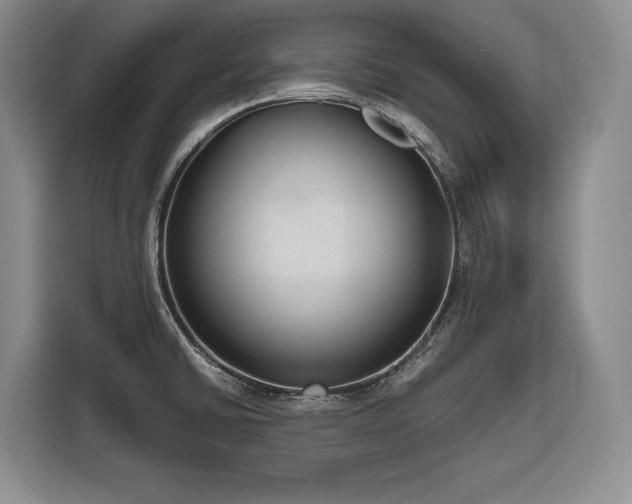 X0000116861430200912221130