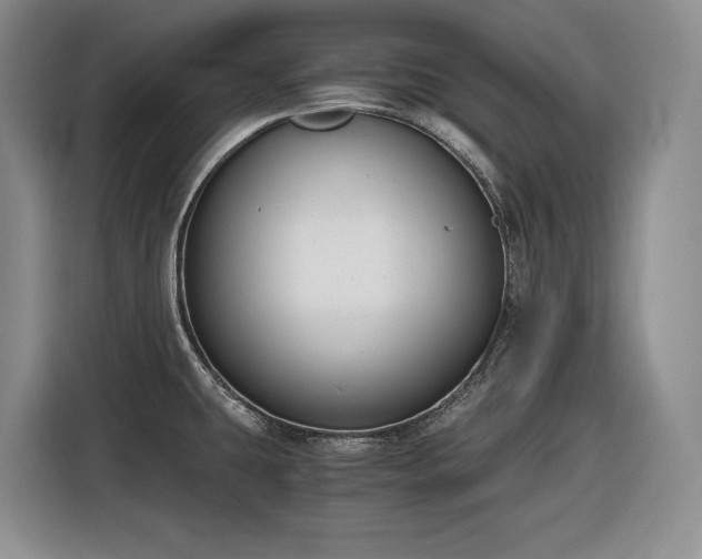 X0000116861431200912221130