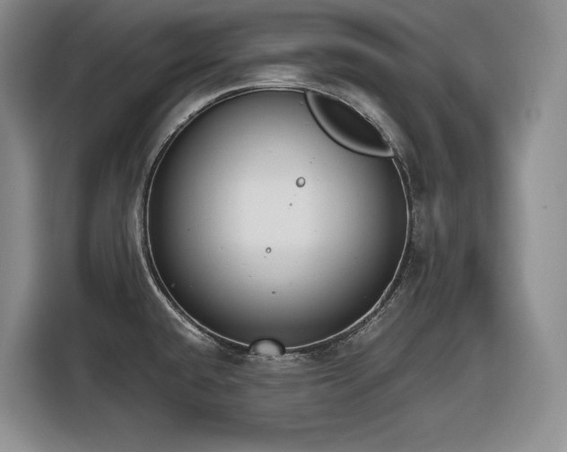 X0000116861432200912221130