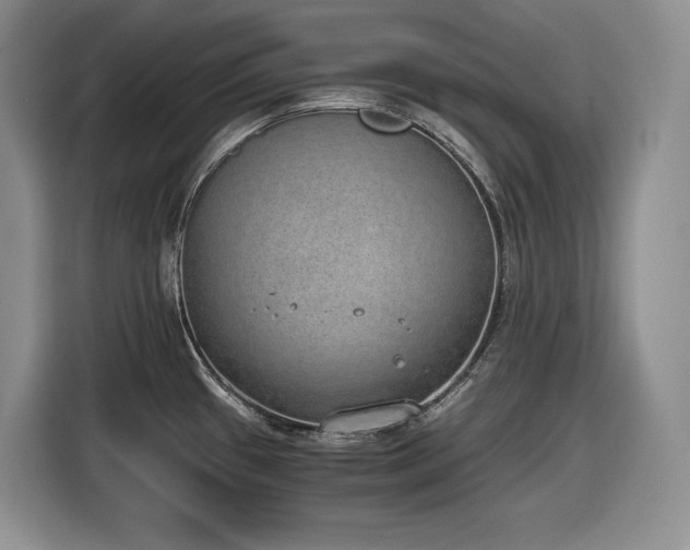 X0000116861433200912221130