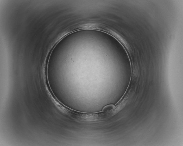 X0000116861434200912221130