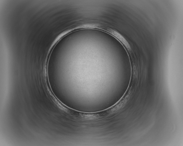 X0000116861436200912221130