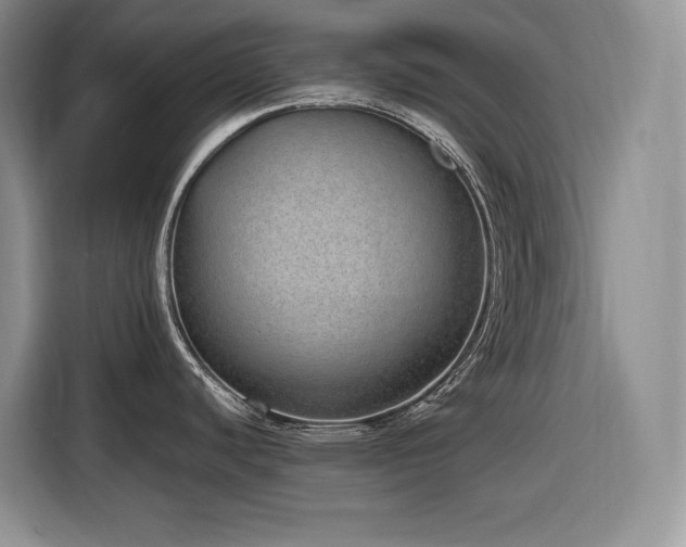 X0000116861440200912221130