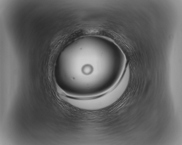 X0000116861441200912221129