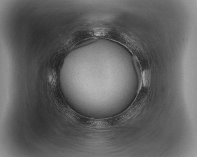 X0000116861443200912221129