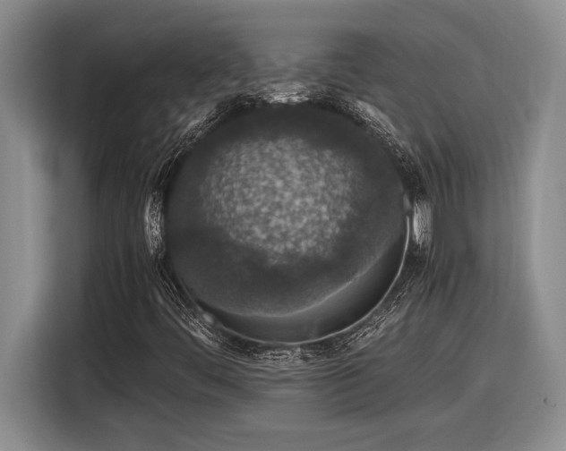 X0000116861444200912221129
