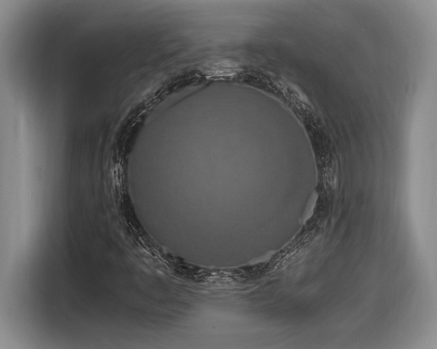 X0000116861445200912221129