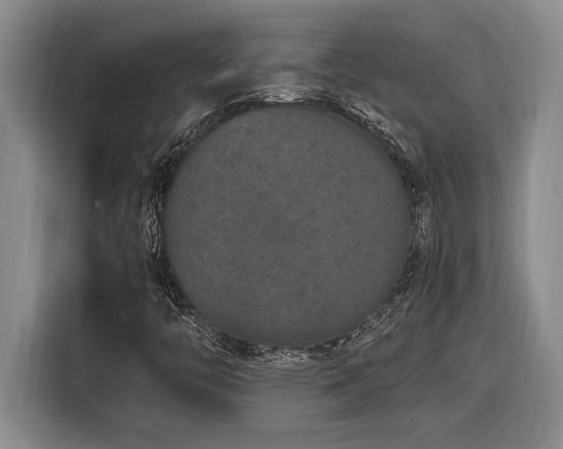 X0000116861446200912221129