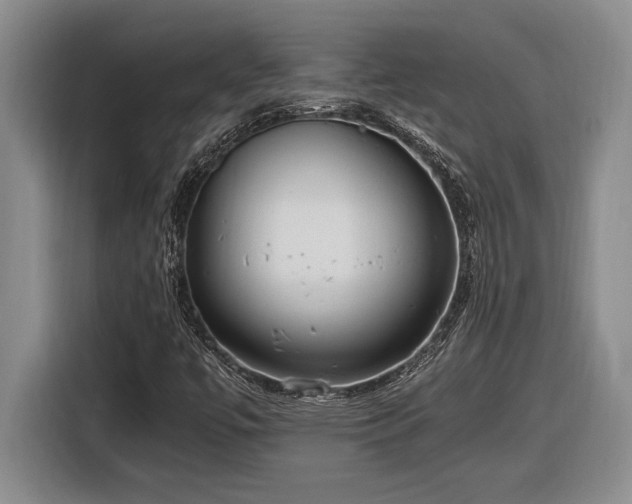 X0000116861447200912221129