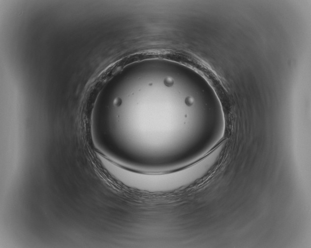 X0000116861448200912221129