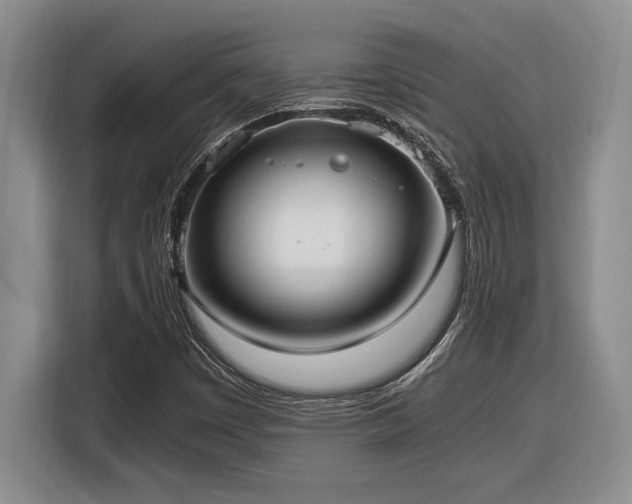 X0000116861449200912221129