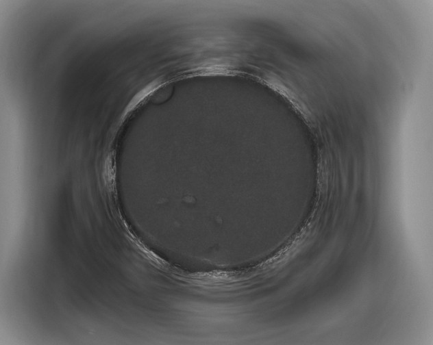 X0000116861450200912221129