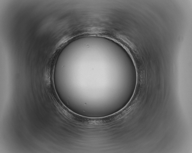 X0000116861451200912221129