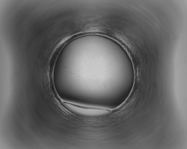 X0000116861452200912221129