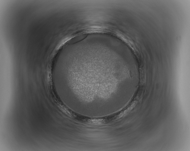 X0000116861453200912221129