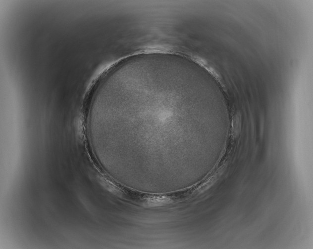X0000116861454200912221129